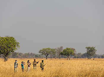 Luambe Camp: Auf der Walking Safari wird eine kleine Gruppe von einem erfahrenen Guide geführt Luambe Camp: Auf der Walking Safari wird eine kleine Gruppe von einem erfahrenen Guide geführt