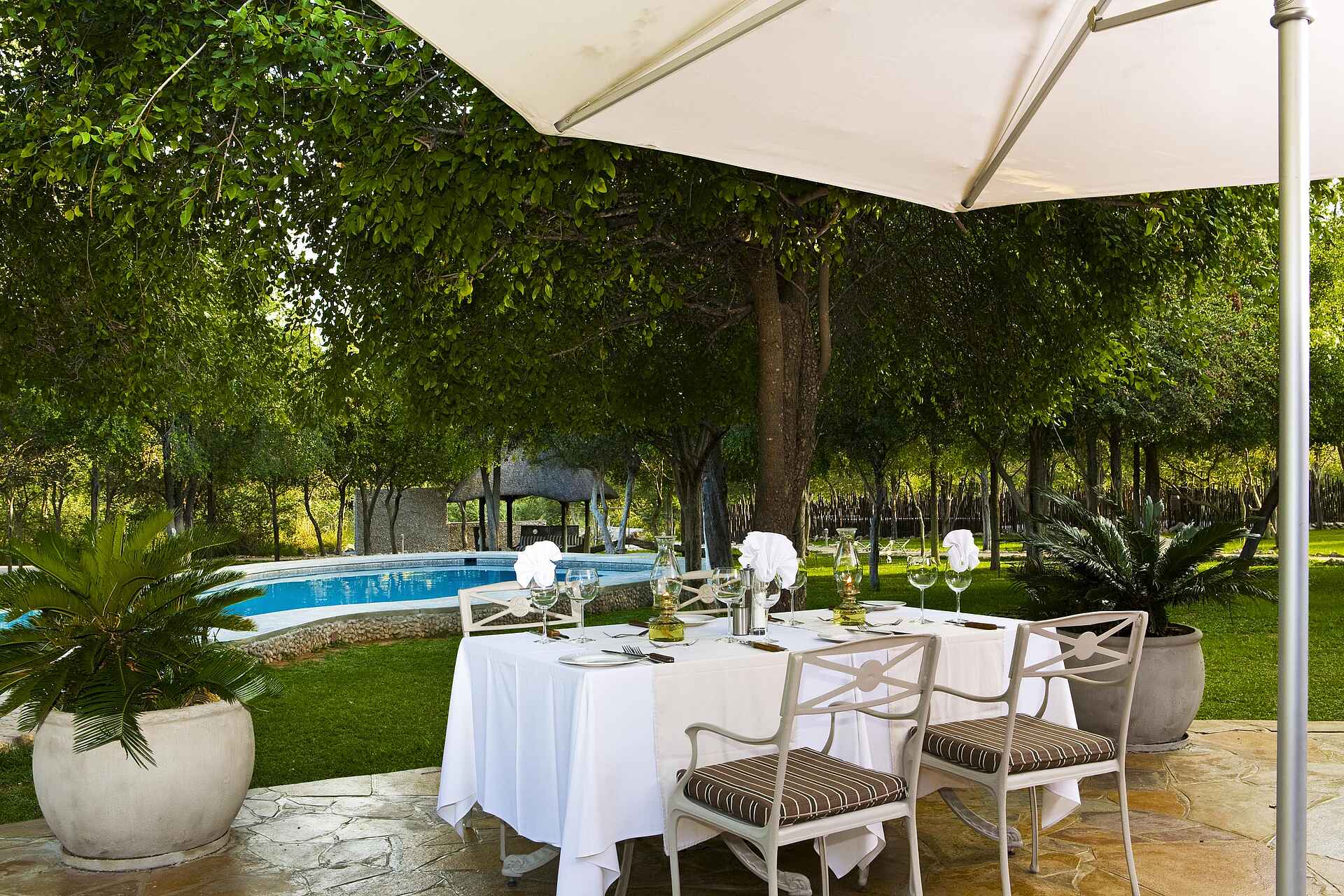 Big Five, Etosha, Etosha Nationalpark, Etosha Pfanne, Komfort, Luxus, Marc Pampe, Mariza Pampe, Mushara, Mushara Collection, Mushara Lodge, Mushara Reserve, Namibia, Natur, Nordnamibia, Pampe Family, Safari, Umwelt, Entspannung, Erholung, Mahlzeiten, Service, afrikarma, afrikarma.de