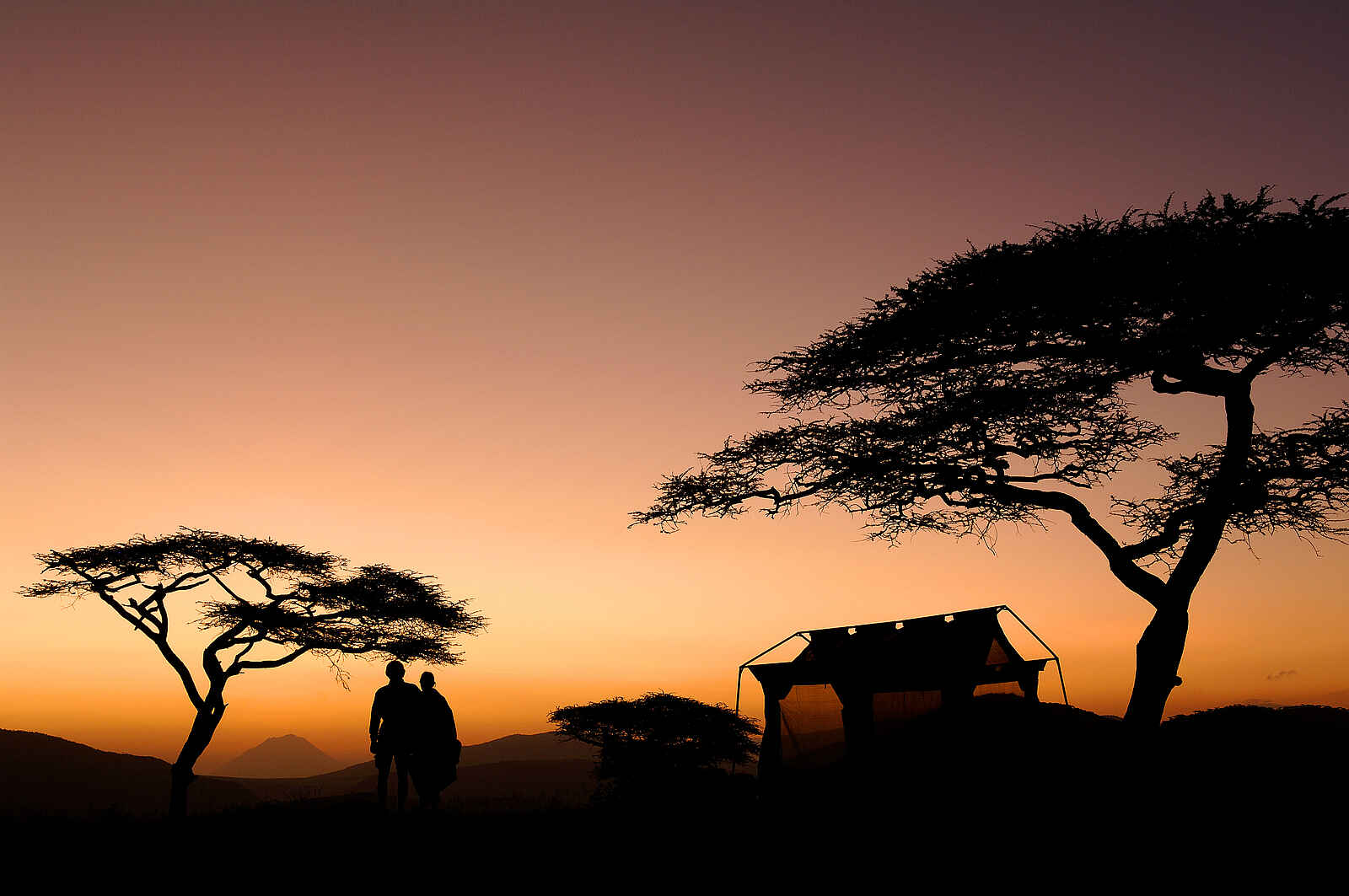 Oliver's Camp: Fly Camp bei Sonnenaufgang Oliver's Camp: Fly Camp bei Sonnenaufgang