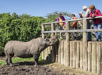 Porini Rhino Camp: Ol Pejeta Rhino Conservancy