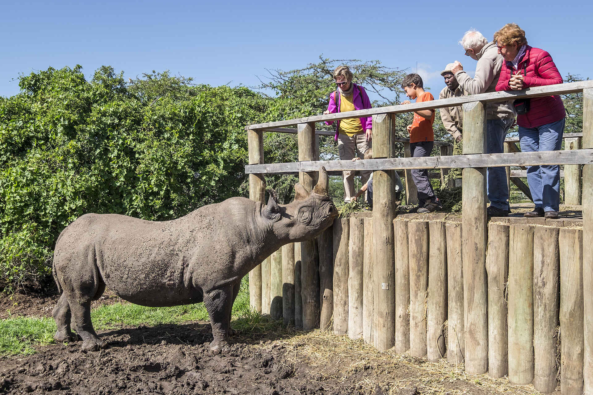 Porini Rhino Camp: Ol Pejeta Rhino Conservancy
