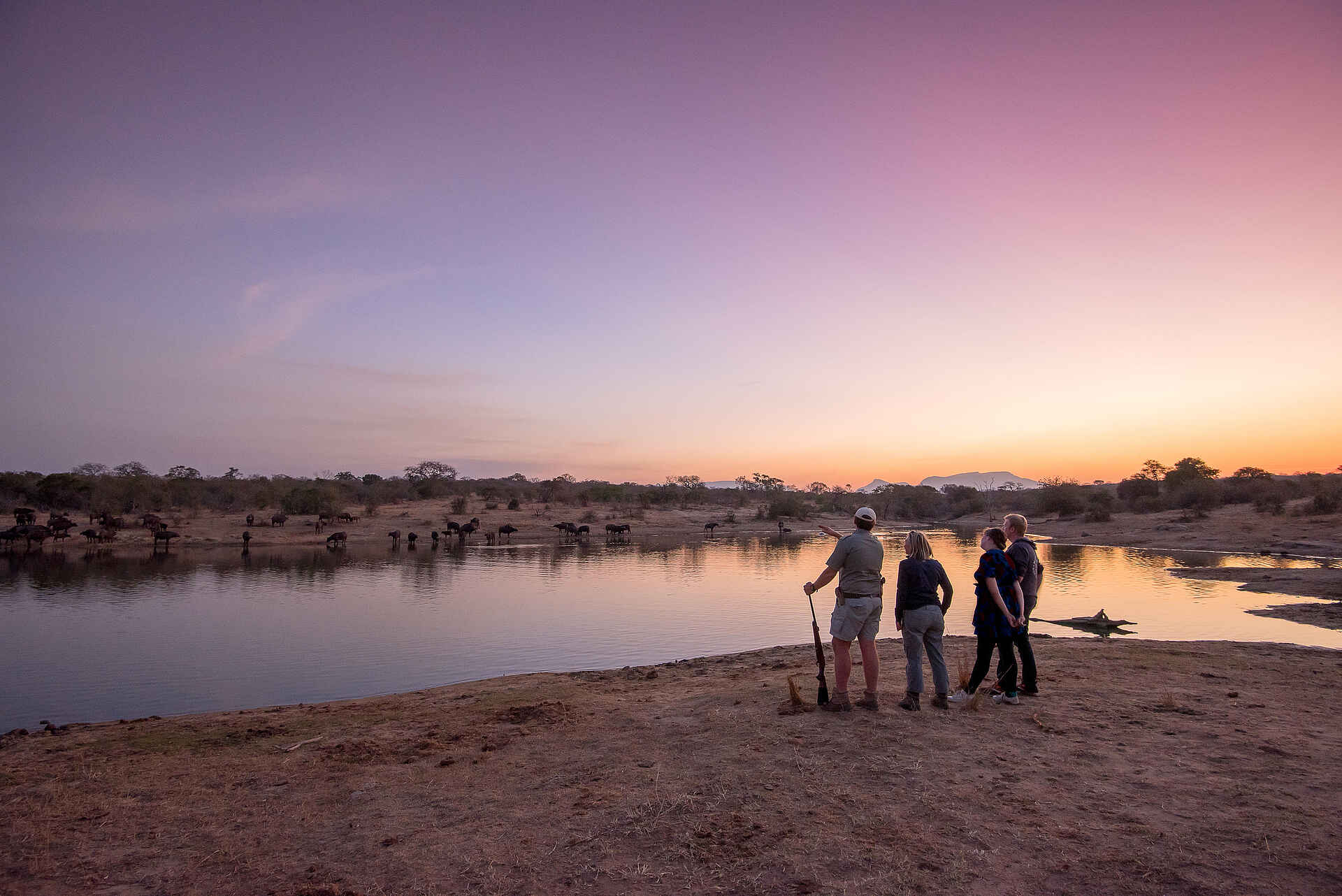 Saseka Tented Camp: Wandersafari zum Sonnenuntergang Saseka Tented Camp: Wandersafari zum Sonnenuntergang