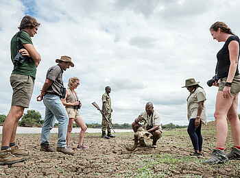 Shawa Luangwa Camp: Walking Safari