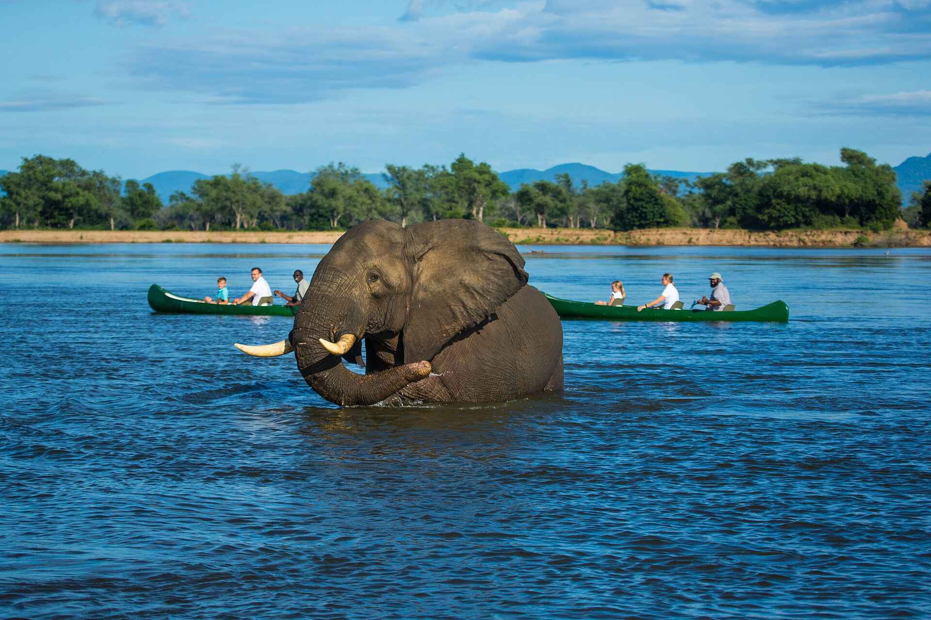Tembo Plains Camp: Kanusafari Tembo Plains Camp: Kanusafari