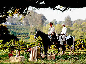 The Manor at Ngorongoro: Reitausflug