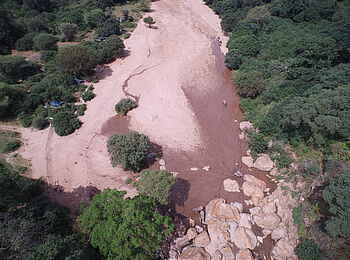 Wayo Manyara Green Camp: Elefanten im Flussbett