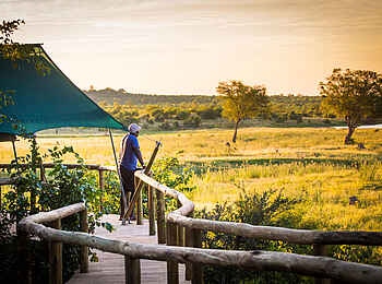 Deteema Springs Camp: Erhöhter Gehweg