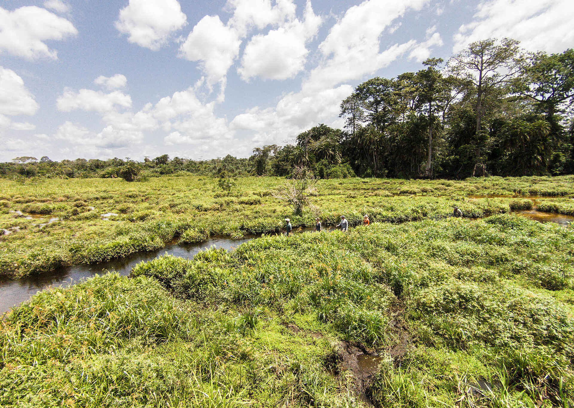 Lango Camp: Waten im Bach während der Walking Safari