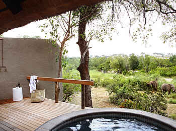 Londolozi Varty Camp: Plungepool mit Blick in das Gelände