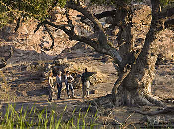 Tuli Safari Lodge Mashatu: Buschwanderung