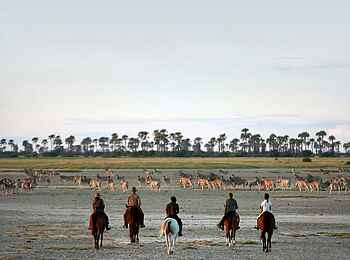 Camp Kalahari: Reiter vor einer der vielen Palmeninseln