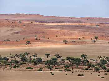 Desert Whisper Villa: Game Drive