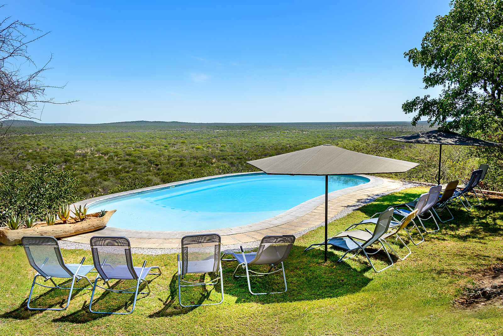 Etosha Safari Lodge: Pool mit Liegestühlen Etosha Safari Lodge: Pool mit Liegestühlen