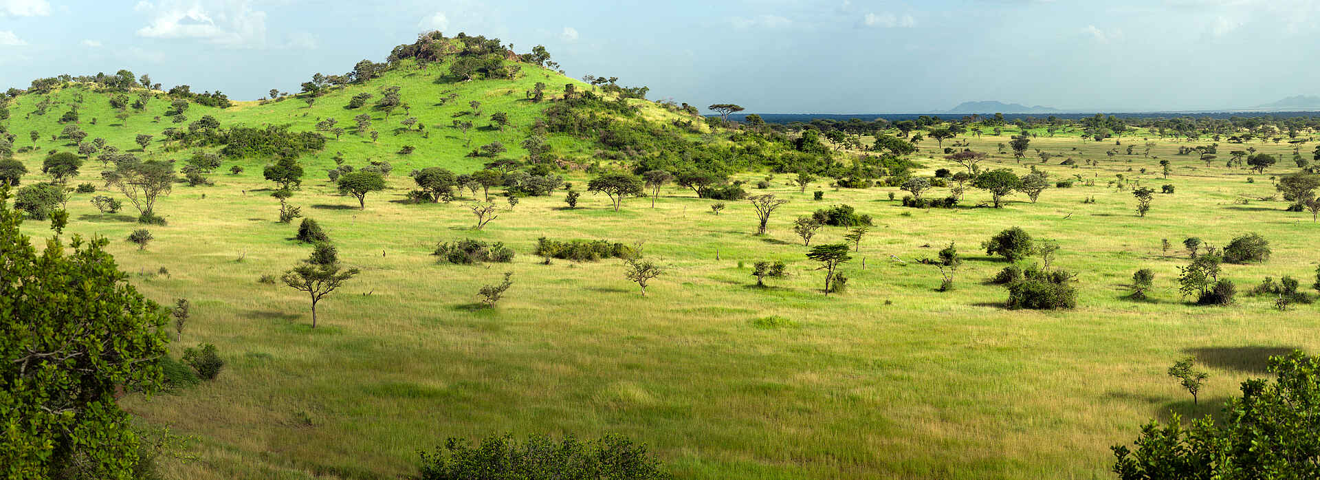 Grumeti Hills Camp, Serengeti, Tanganyika Expeditions, Gesamtansicht, Landschaft, Panorama, Savanne, Afrikarma, Afrikarma Safaris, Afrikarma Safaris - Wildnis. Hautnah., Afrikarma.de