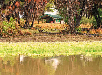 Lake Manze Camp: Blick vom See zum Zelt Lake Manze Camp: Blick vom See zum Zelt
