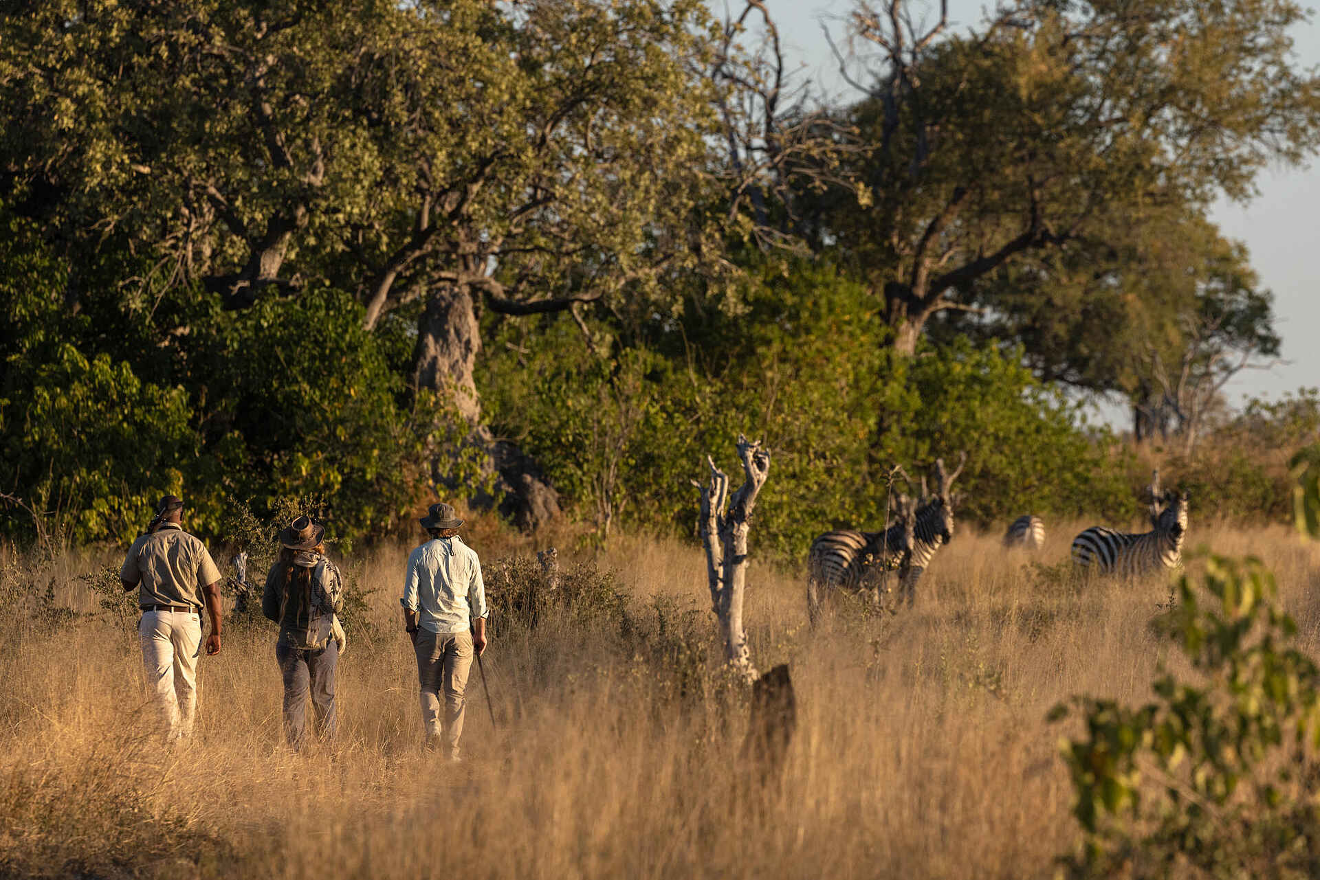 Maxa Camp: Walking Safari Maxa Camp: Walking Safari
