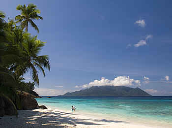 North Island: Der West Strand