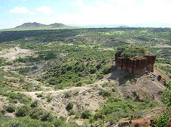 Olduvai Camp: Olduvai Gorge