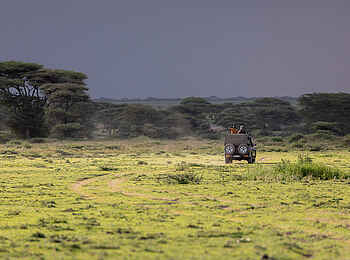 Serian's Serengeti South Camp: Unterwegs