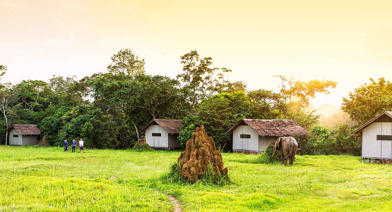 Mboko Camp: Die Gästeunterkünfte am Waldrand Mboko Camp: Die Gästeunterkünfte am Waldrand