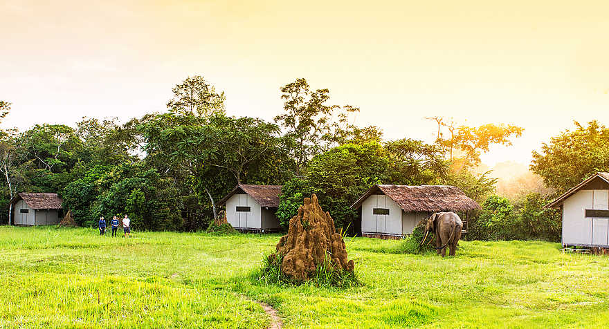 Mboko Camp: Die Gästeunterkünfte am Waldrand Mboko Camp: Die Gästeunterkünfte am Waldrand