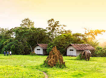 Mboko Camp: Die Gästeunterkünfte am Waldrand