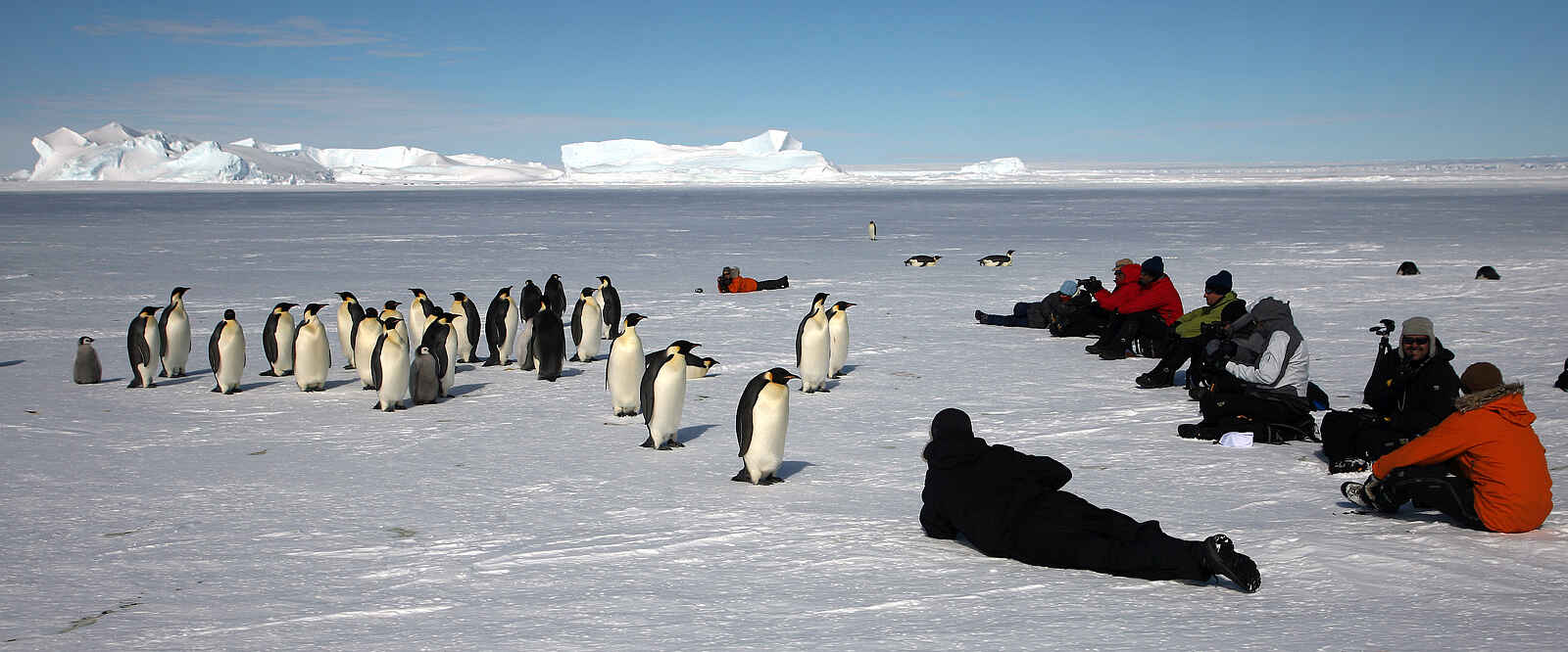 White Desert: Ganz nah White Desert: Ganz nah