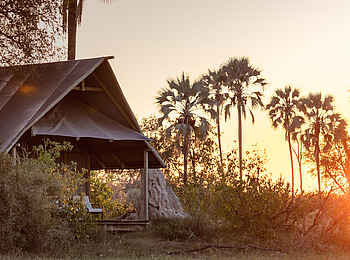 Chitabe Lediba Camp: Standard Tent Ansicht