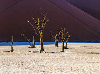 Dead Valley Lodge: Die Deadvlei