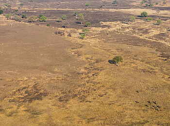 Luambe Camp: Die Weite der lichten Waldsavanne Luambe Camp: Die Weite der lichten Waldsavanne