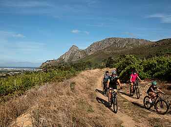 Steenberg Hotel: Biking in den Weinbergen Steenberg Hotel: Biking in den Weinbergen