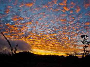 Wasa Lodge: Morgenröte