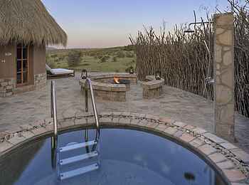 Mara Bushtops: Tauchbecken