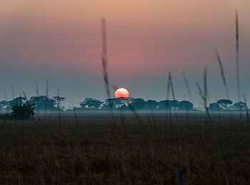 Chisa Busanga Camp: Sonnenuntergang Chisa Busanga Camp: Sonnenuntergang