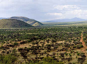 Erindi Game Reserve: Weites Land