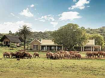 Gorah Elephant Camp: Elefanten vor dem Camp Gorah Elephant Camp: Elefanten vor dem Camp