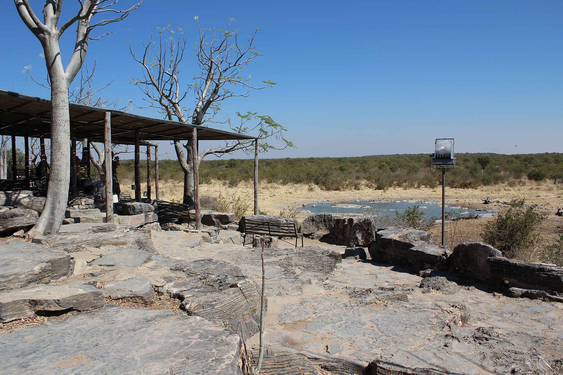 Etosha, Etosha National Park, Etoshapfanne, Halali, Salzpfanne, Unterstand, Wasserloch, afrikarma, afrikarma Safaris, afrikarma.de