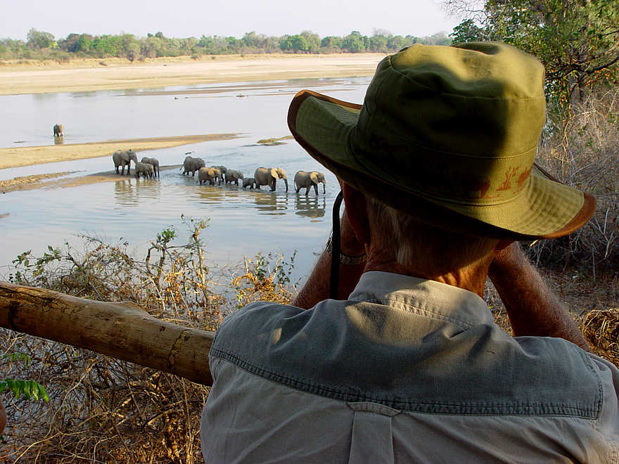 Kaingo Elephant Hide: Elefanten überqueren den Fluss Kaingo Elephant Hide: Elefanten überqueren den Fluss