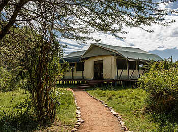 Porini Amboseli Camp: Weg zum Gästezelt Porini Amboseli Camp: Weg zum Gästezelt