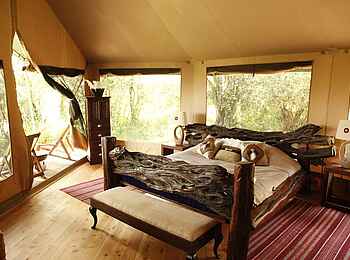 Sala's Camp: Honeymoon Suite Sala's Camp: Honeymoon Suite