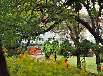 Victoria Falls Hotel: Gartenanlage