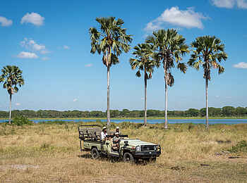 Kuthengo Camp: Palmen am Shire River Kuthengo Camp: Palmen am Shire River