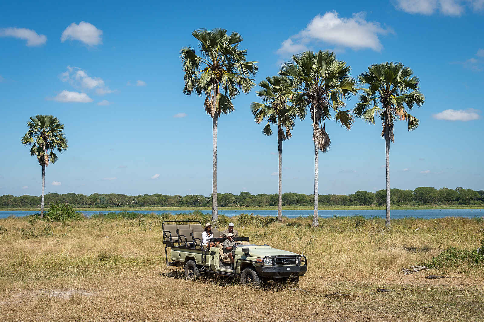 Kuthengo Camp: Palmen am Shire River Kuthengo Camp: Palmen am Shire River