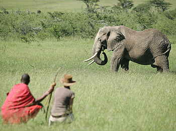Naboisho Camp: Walking Safari