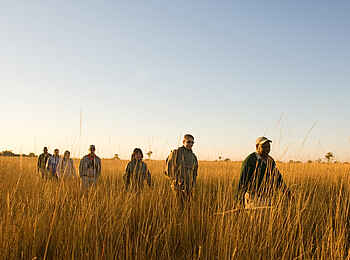 Camp Okavango: Geführte Buschwanderung