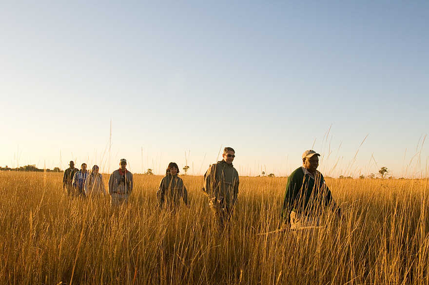 Camp Okavango: Geführte Buschwanderung Camp Okavango: Geführte Buschwanderung