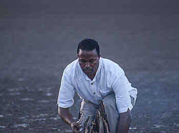 Chem Chem Lodge: Lagerfeuer Chem Chem Lodge: Lagerfeuer