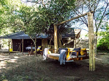 Forest Chem Chem: Tagesbett Forest Chem Chem: Tagesbett