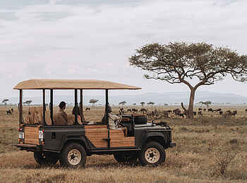 Laba Grumeti Art Lodge: Eine Pirschfahrt in der Serengeti