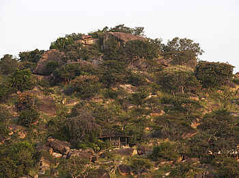 Lamai Serengeti: Lage am Hang Lamai Serengeti: Lage am Hang
